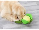 cabbage dog toy sniffing dog toy