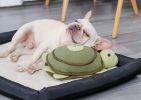 Sound Plush Toys Turtle Training Play Dog Toys