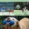Dog Football Interactive Toy Dog Ball, Durable For Large And Medium-sized Dogs, With Grab Ring, Christmas Dog Water Toy Tug Of War Dog Toy