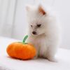 Dog Sounding Pumpkin Plush Toy