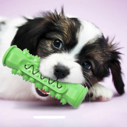Chewing Toy for Dogs (Color: Green)