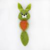 Puppy Toys Squeaky Chew Toys