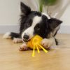 dog chew resistant toy ball