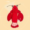 Lobster Peel Shrimp Automatic Cat Toy